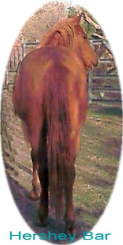 herbutt.jpg