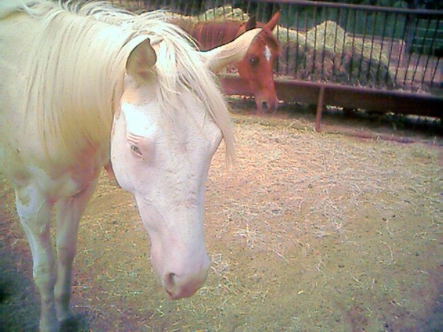 jun02510.jpg